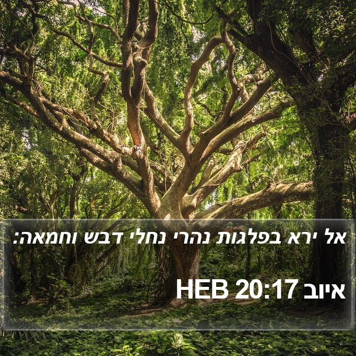 איוב 20:17 HEB Bible Study