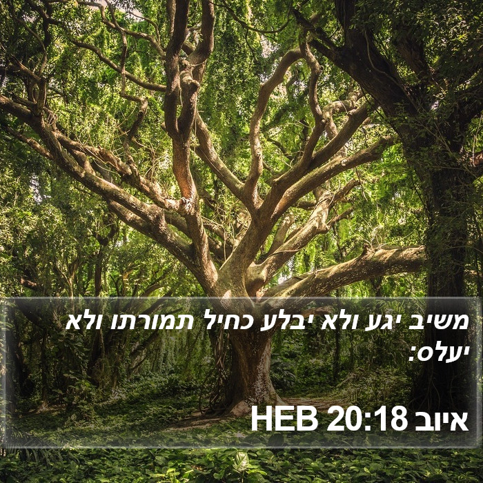 איוב 20:18 HEB Bible Study