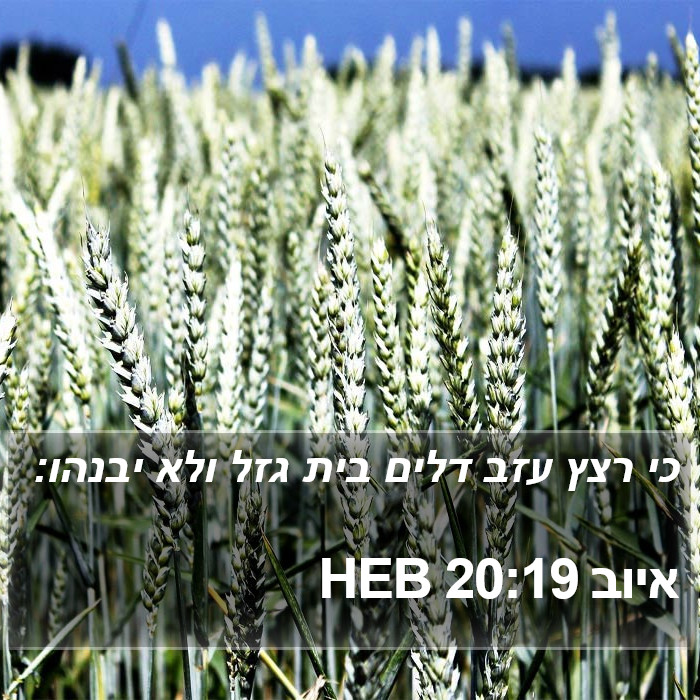 איוב 20:19 HEB Bible Study