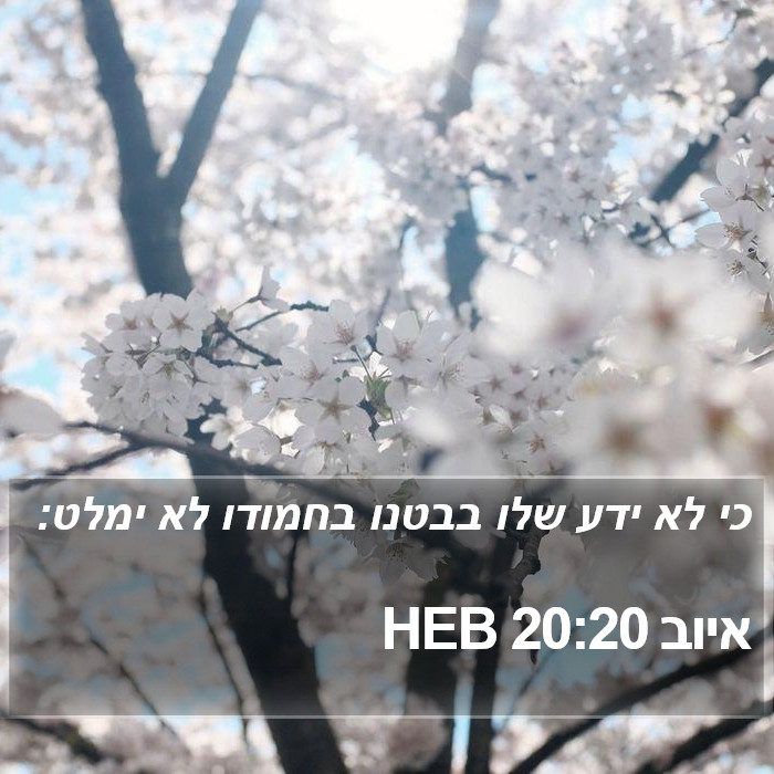 איוב 20:20 HEB Bible Study