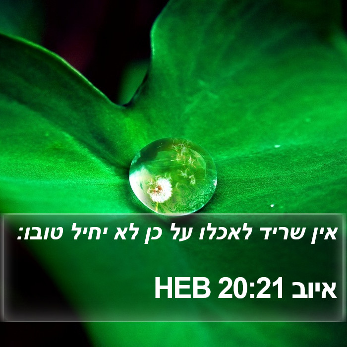 איוב 20:21 HEB Bible Study