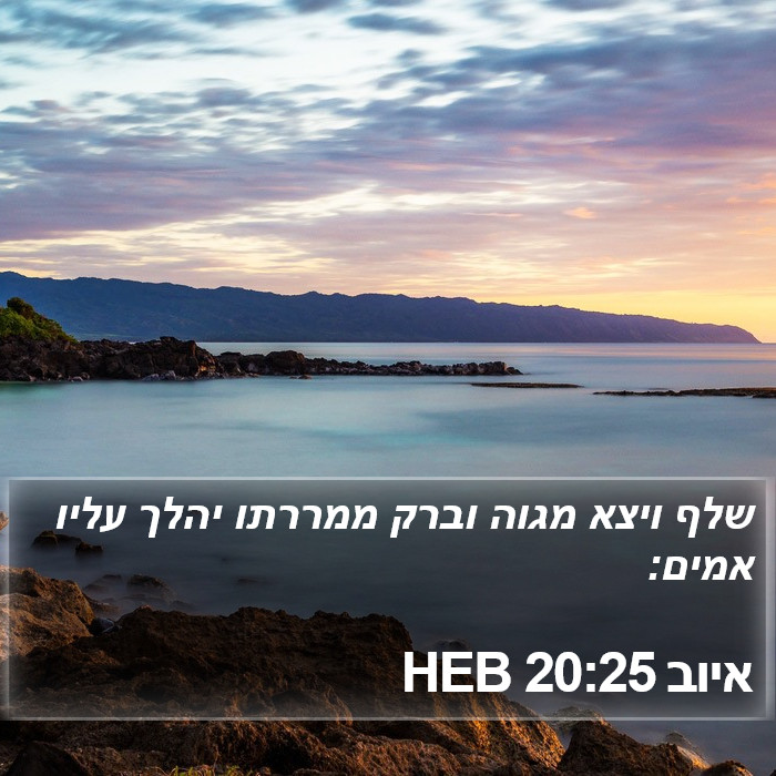 איוב 20:25 HEB Bible Study