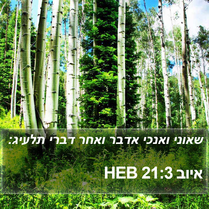 איוב 21:3 HEB Bible Study