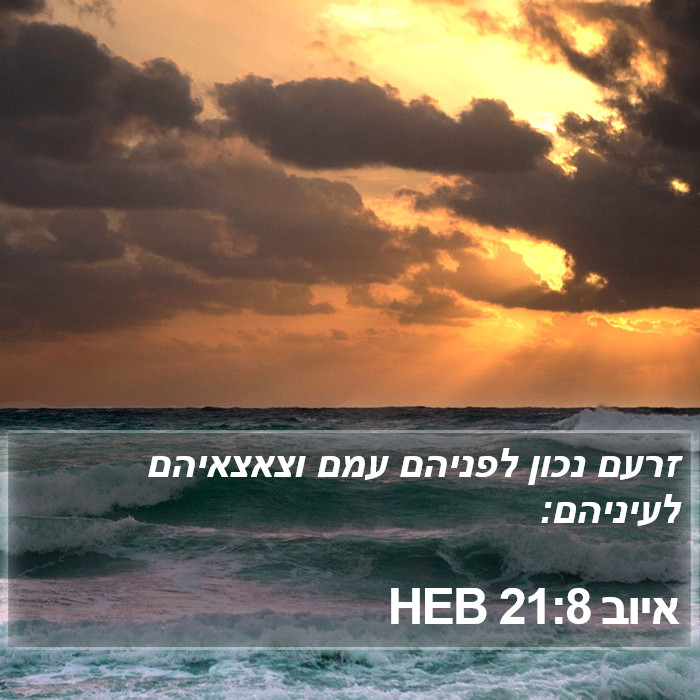 איוב 21:8 HEB Bible Study