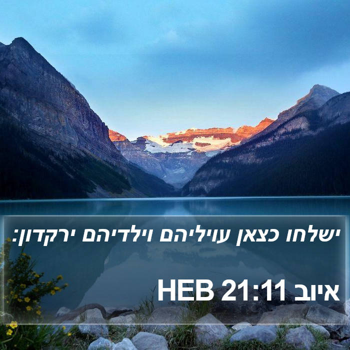 איוב 21:11 HEB Bible Study