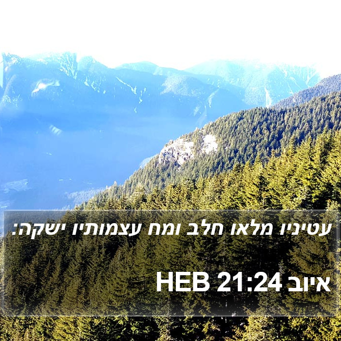 איוב 21:24 HEB Bible Study