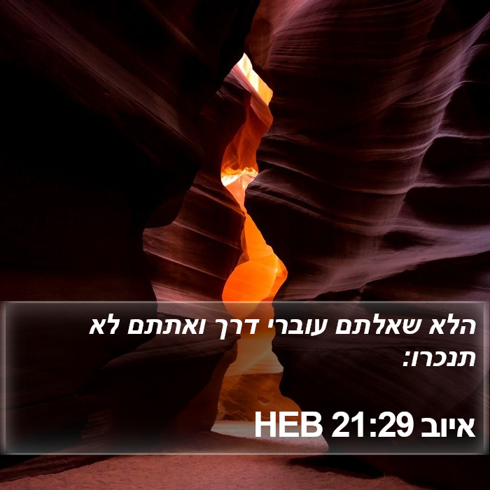 איוב 21:29 HEB Bible Study