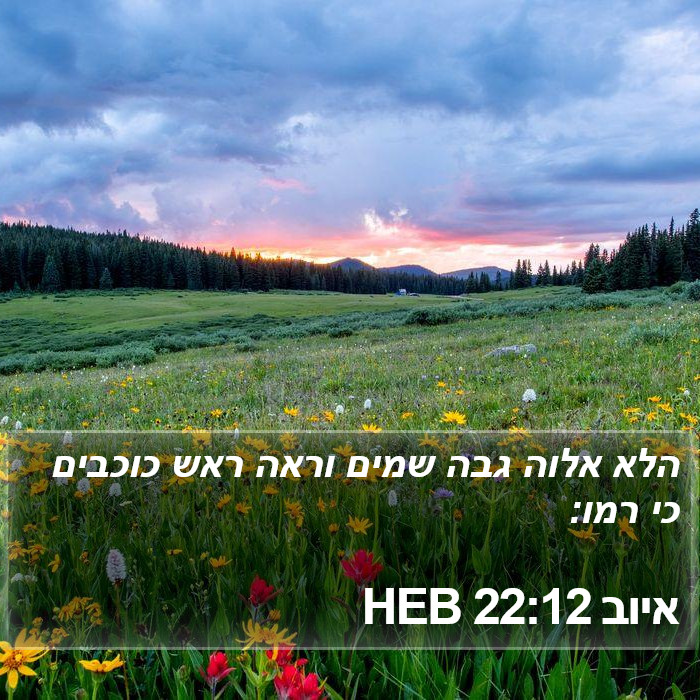 איוב 22:12 HEB Bible Study