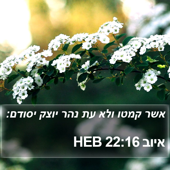 איוב 22:16 HEB Bible Study