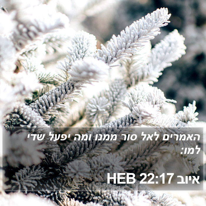 איוב 22:17 HEB Bible Study