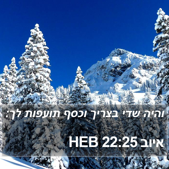 איוב 22:25 HEB Bible Study