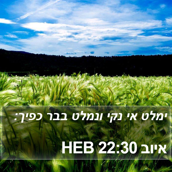 איוב 22:30 HEB Bible Study