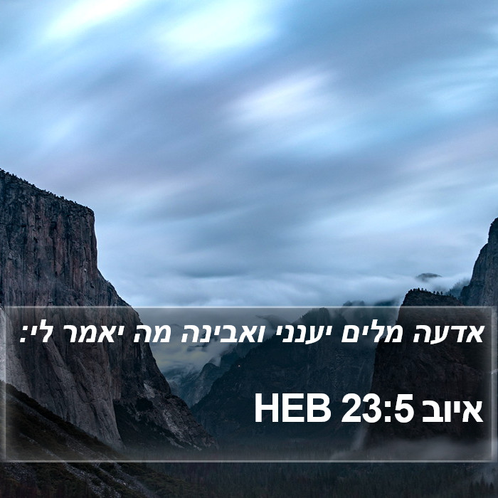 איוב 23:5 HEB Bible Study