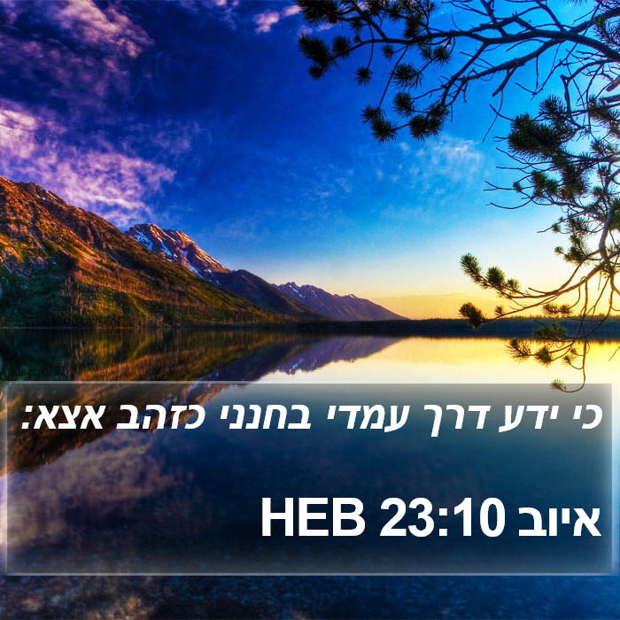 איוב 23:10 HEB Bible Study