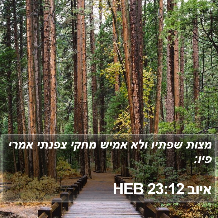 איוב 23:12 HEB Bible Study