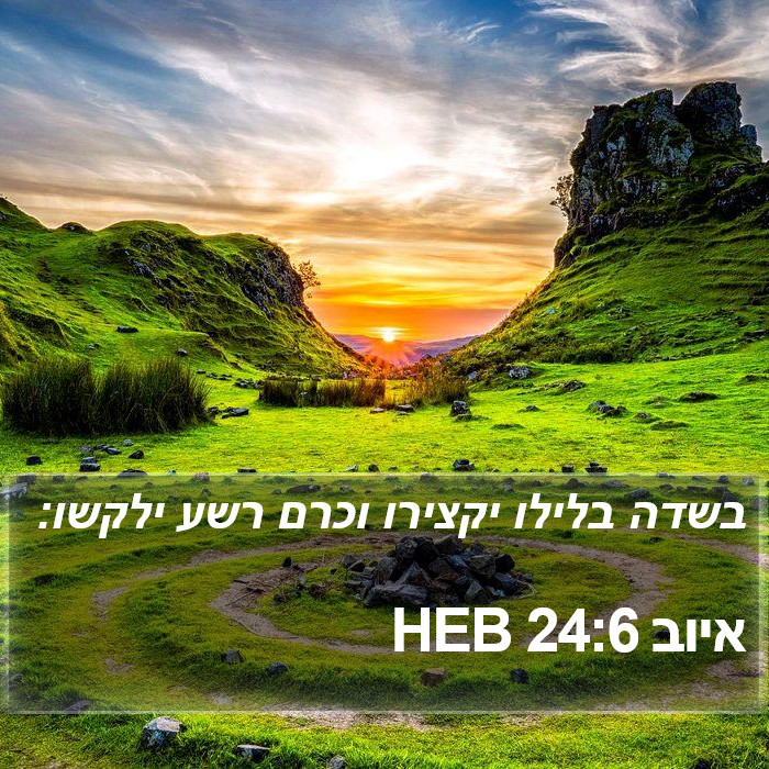 איוב 24:6 HEB Bible Study