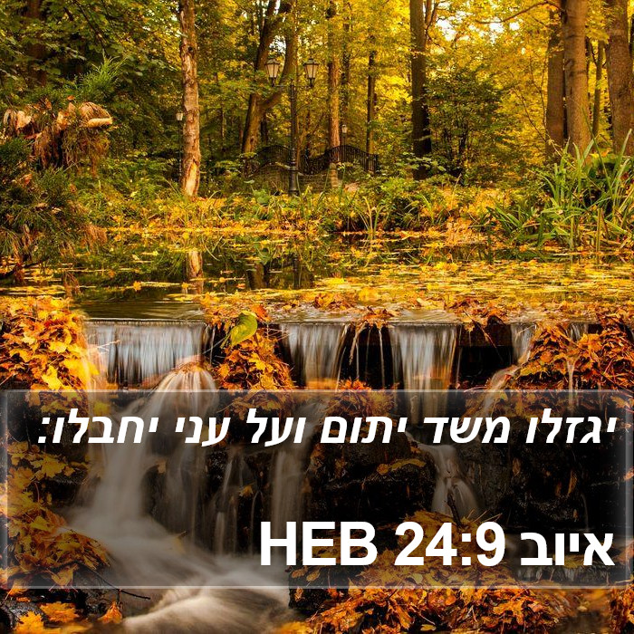 איוב 24:9 HEB Bible Study