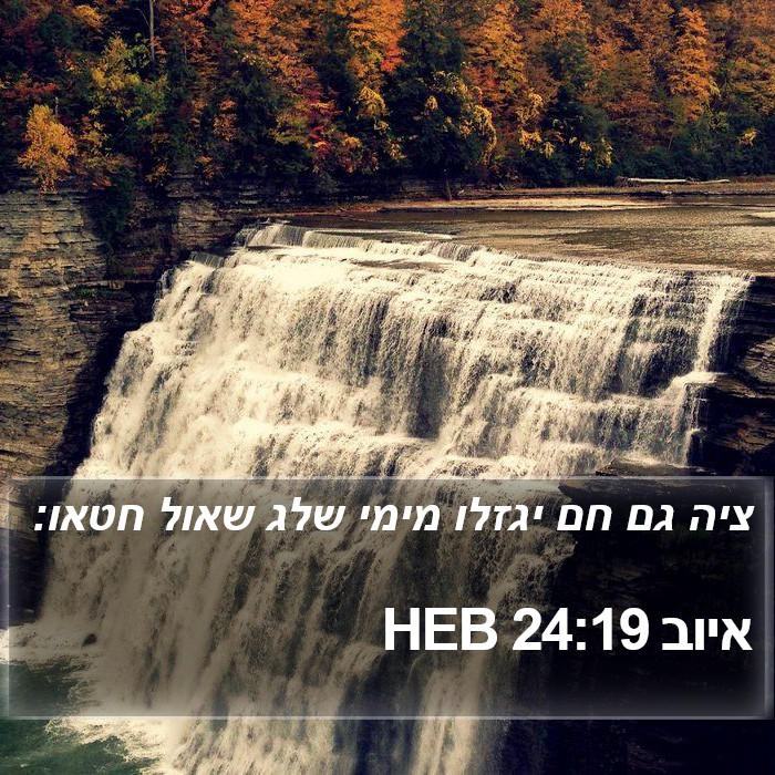 איוב 24:19 HEB Bible Study