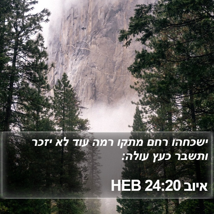 איוב 24:20 HEB Bible Study