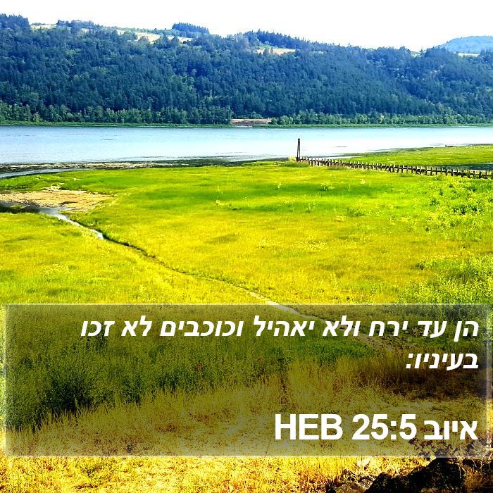 איוב 25:5 HEB Bible Study