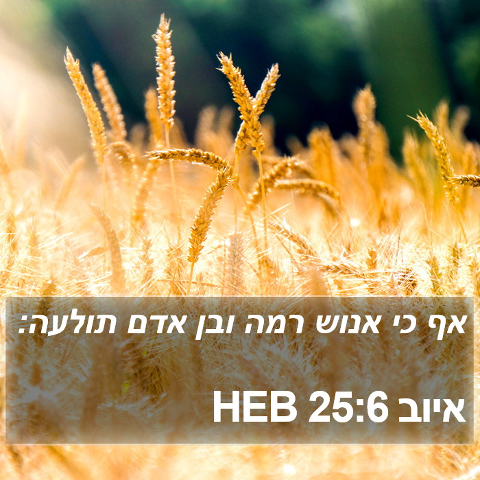 איוב 25:6 HEB Bible Study