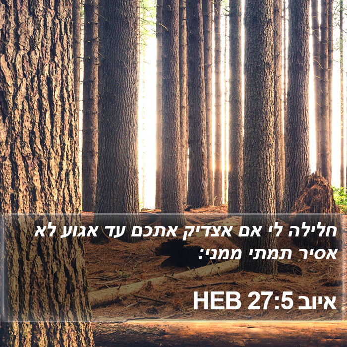 איוב 27:5 HEB Bible Study