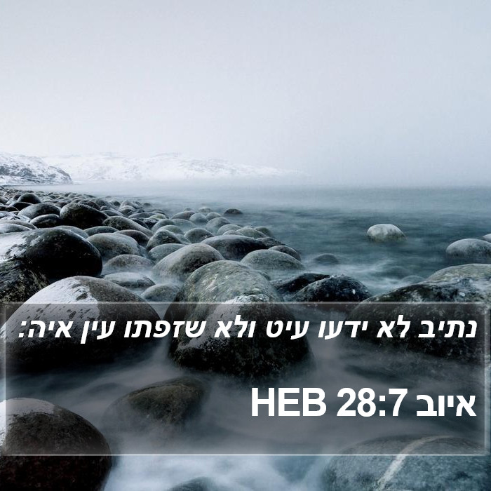 איוב 28:7 HEB Bible Study