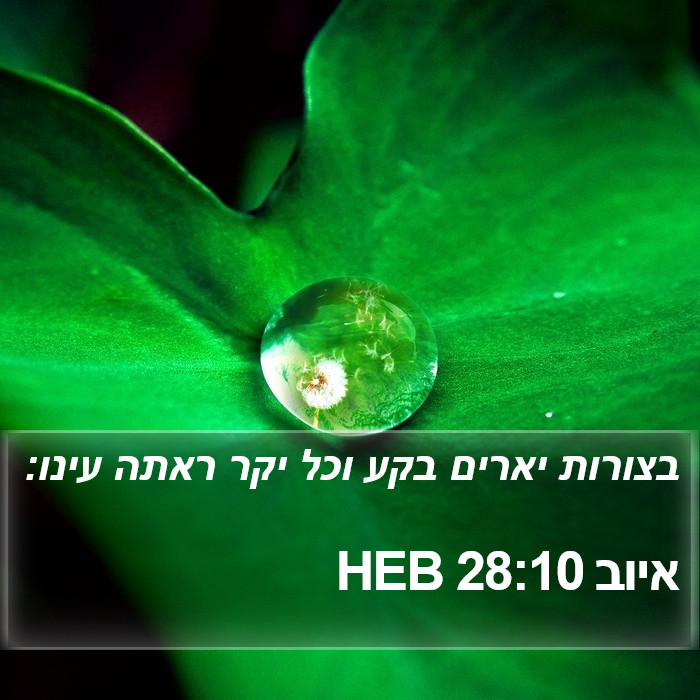 איוב 28:10 HEB Bible Study