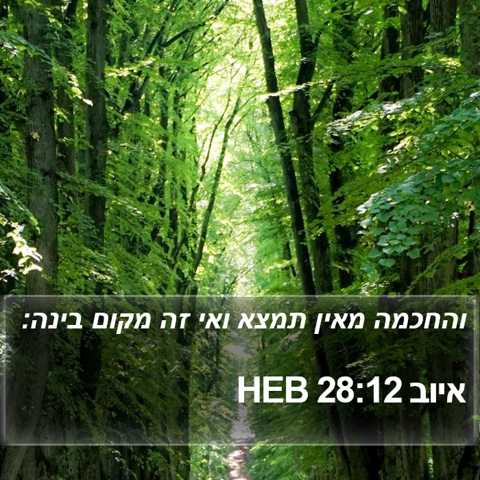 איוב 28:12 HEB Bible Study