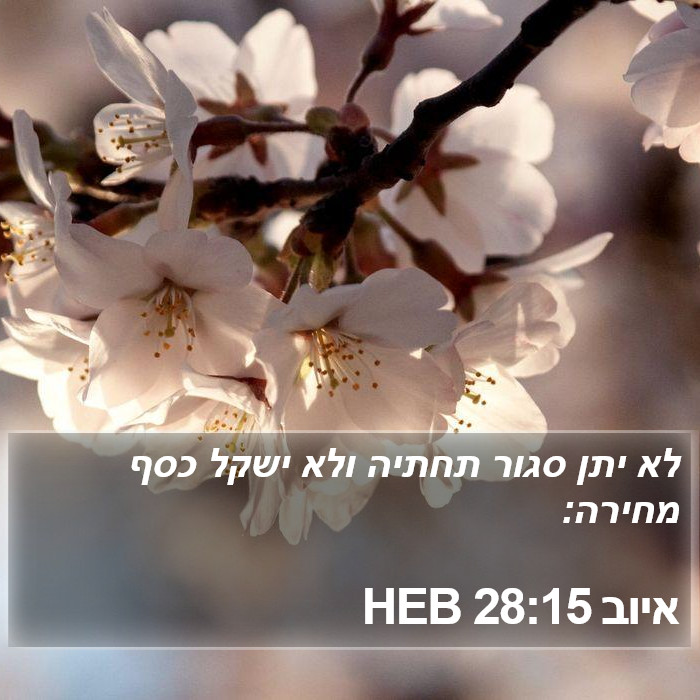 איוב 28:15 HEB Bible Study