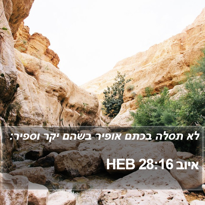 איוב 28:16 HEB Bible Study