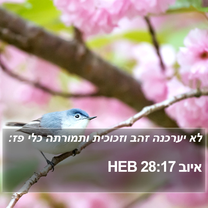 איוב 28:17 HEB Bible Study