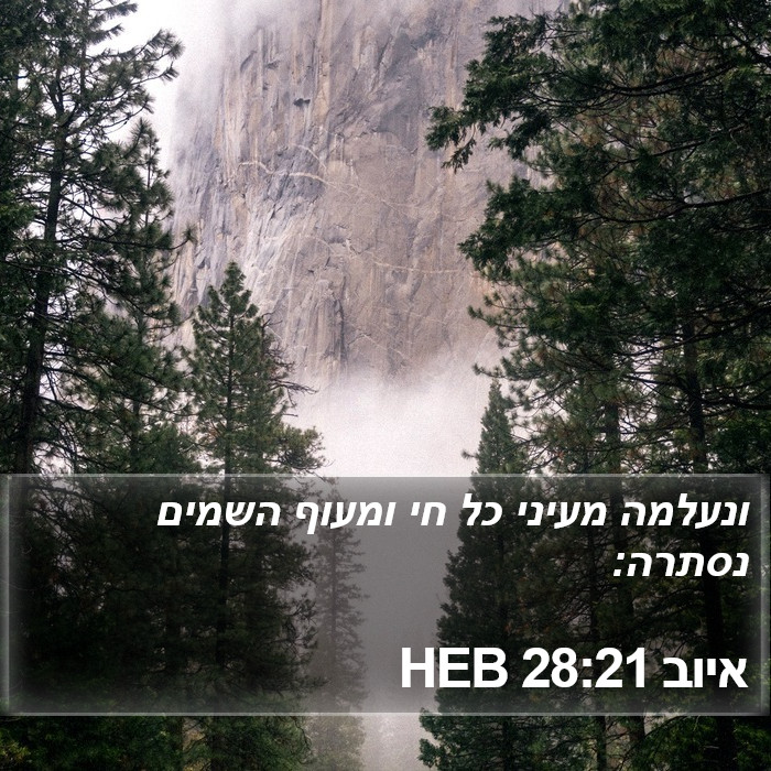 איוב 28:21 HEB Bible Study