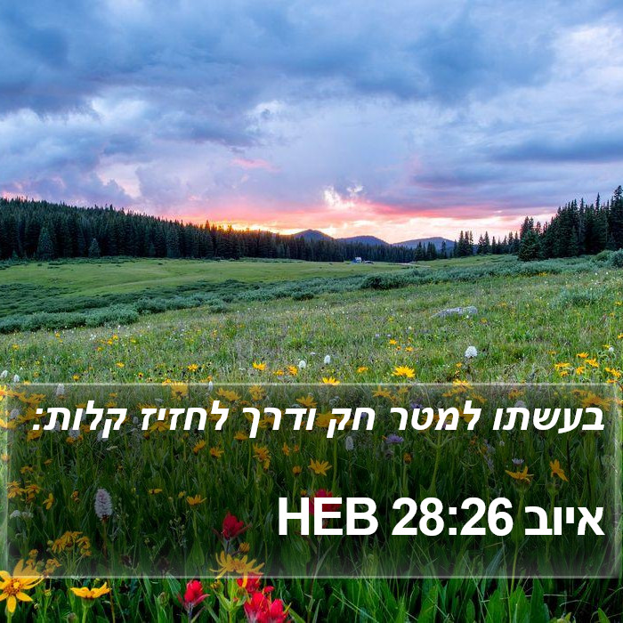 איוב 28:26 HEB Bible Study