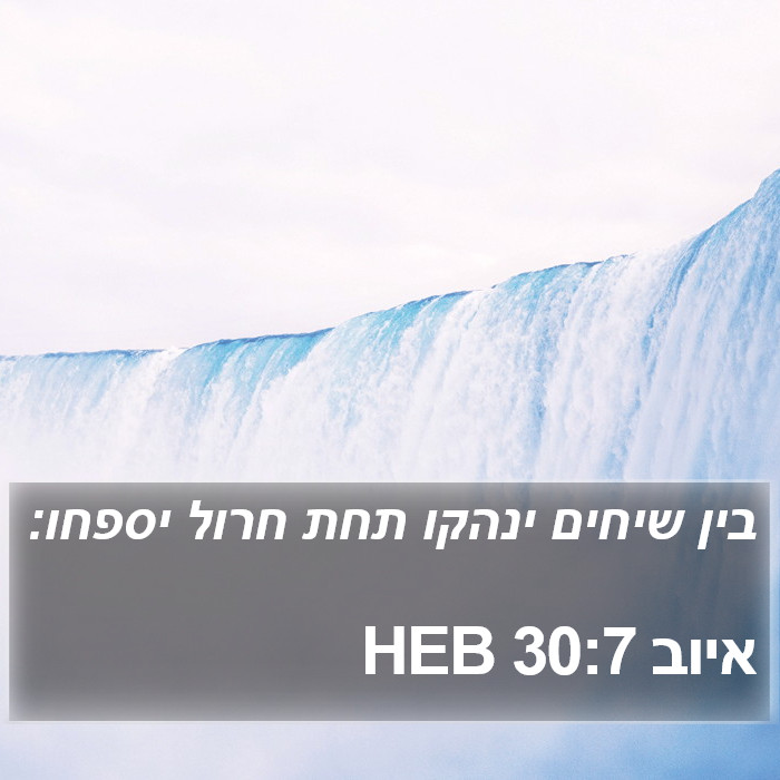 איוב 30:7 HEB Bible Study