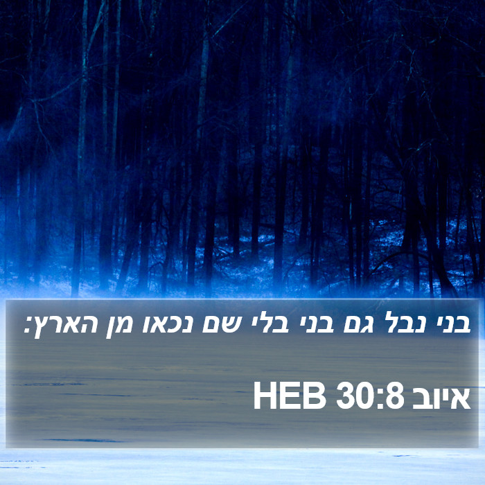 איוב 30:8 HEB Bible Study