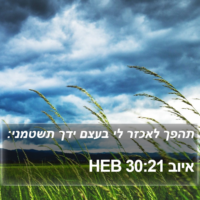 איוב 30:21 HEB Bible Study