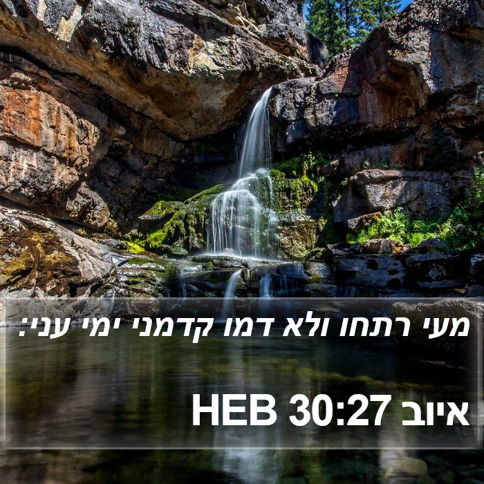 איוב 30:27 HEB Bible Study