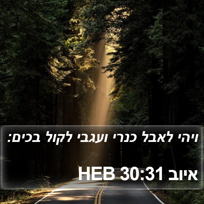 איוב 30:31 HEB Bible Study