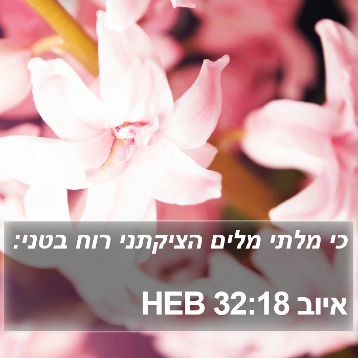 איוב 32:18 HEB Bible Study