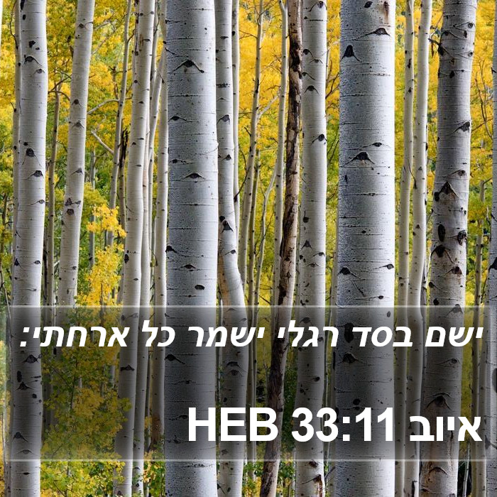 איוב 33:11 HEB Bible Study