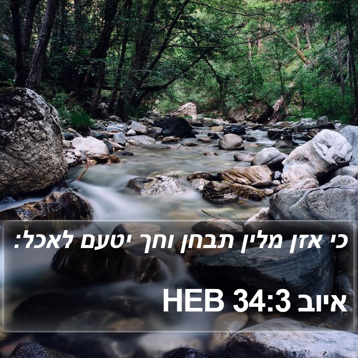 איוב 34:3 HEB Bible Study