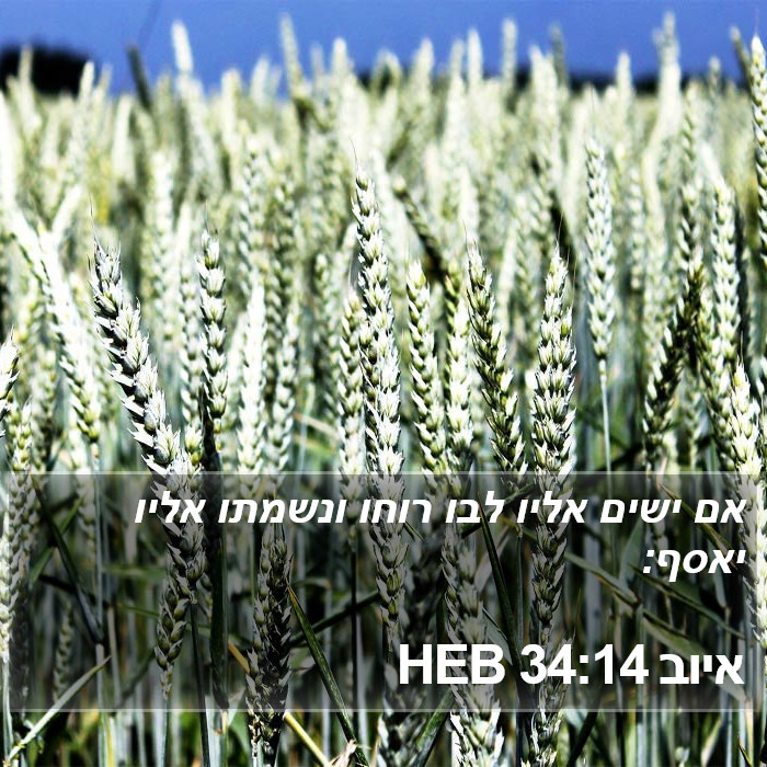 איוב 34:14 HEB Bible Study