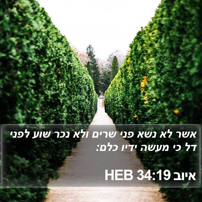 איוב 34:19 HEB Bible Study