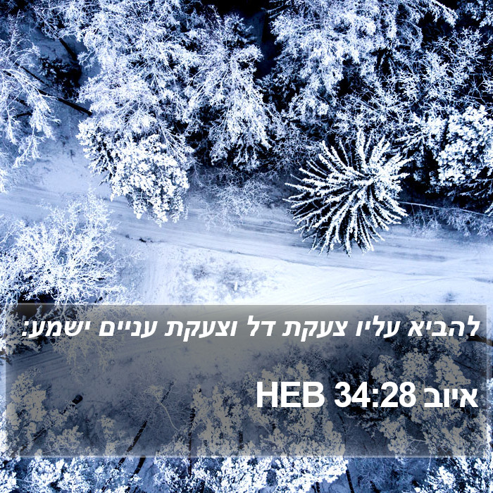 איוב 34:28 HEB Bible Study