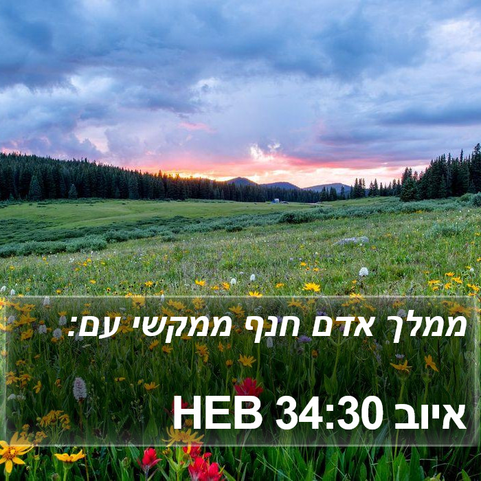 איוב 34:30 HEB Bible Study