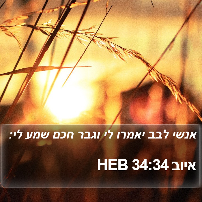 איוב 34:34 HEB Bible Study