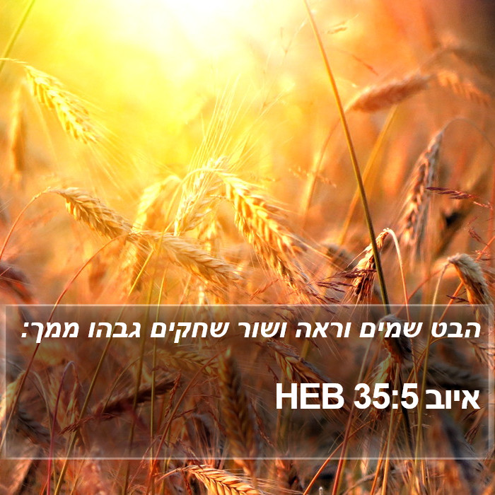 איוב 35:5 HEB Bible Study