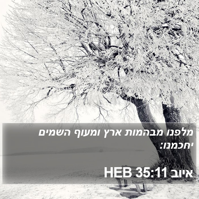 איוב 35:11 HEB Bible Study