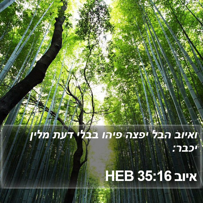 איוב 35:16 HEB Bible Study